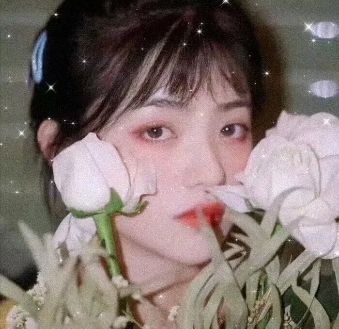 白云山传奇
